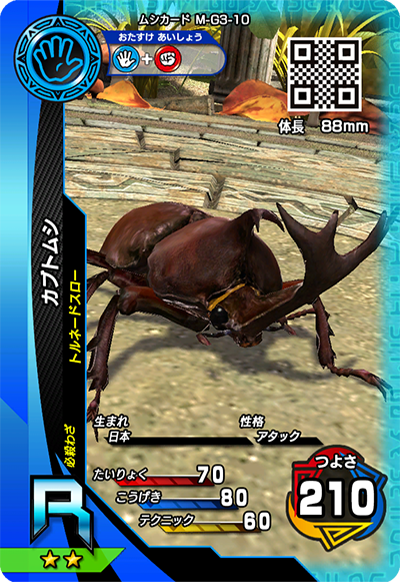 カブトムシ（M-G3-10）［R］