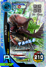カブトムシ（M-G3-10）［R］