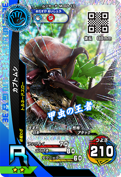 カブトムシ（M-G3-10）［R］