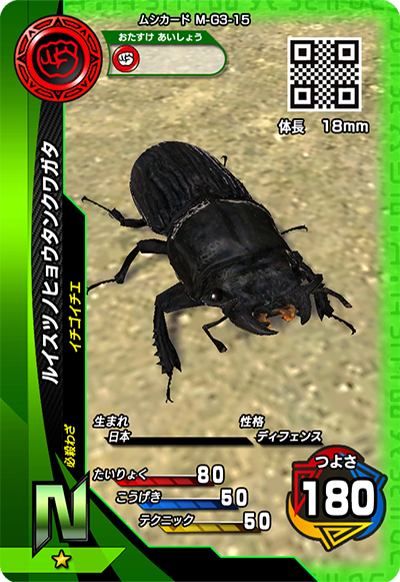 ルイスツノヒョウタンクワガタ（M-G3-15）［N］