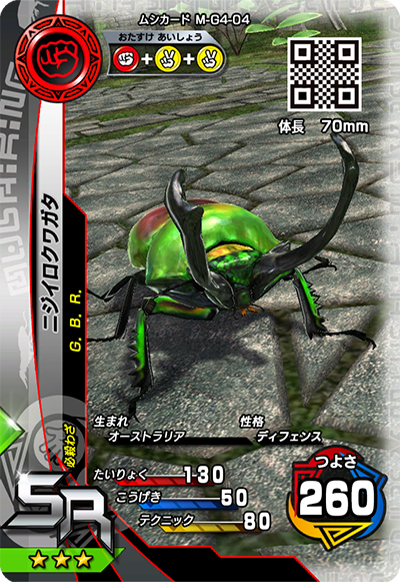 ニジイロクワガタ（M-G4-04）［SR］