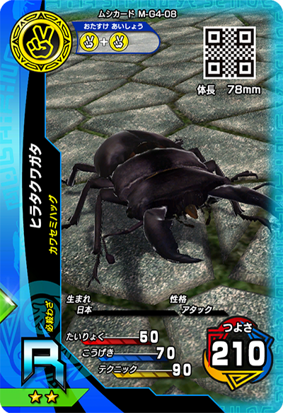 ヒラタクワガタ（M-G4-08）［R］