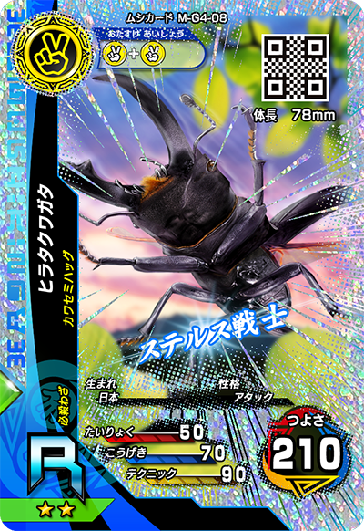 ヒラタクワガタ（M-G4-08）［R］