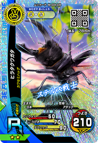 ヒラタクワガタ（M-G4-08）［R］