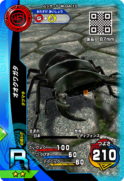 オオクワガタ（M-G4-10）［R］