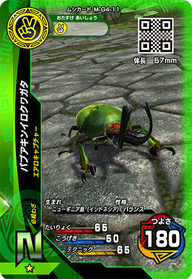 パプアキンイロクワガタ（M-G4-11）［N］