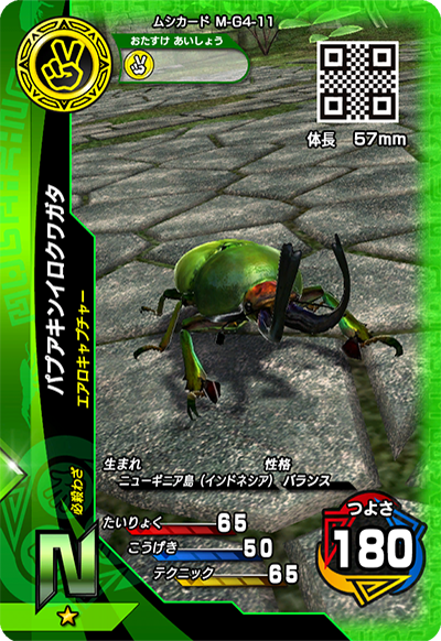 パプアキンイロクワガタ（M-G4-11）［N］