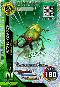 パプアキンイロクワガタ（M-G4-11）［N］