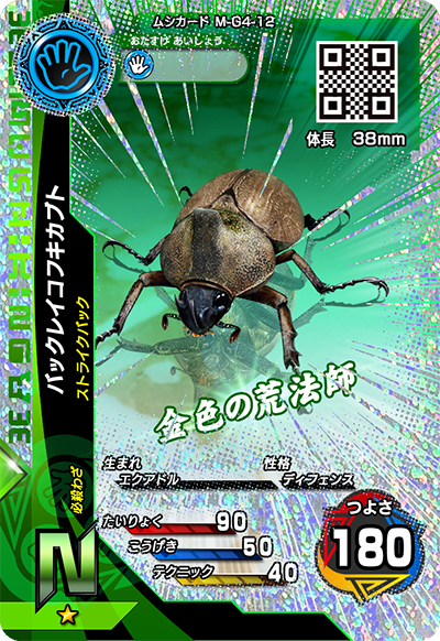 バックレイコフキカブト（M-G4-12）［N］