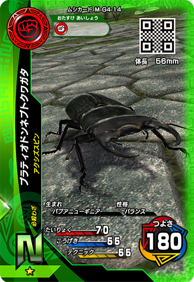 プラティオドンネブトクワガタ（M-G4-14）［N］