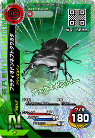 プラティオドンネブトクワガタ（M-G4-14）［N］