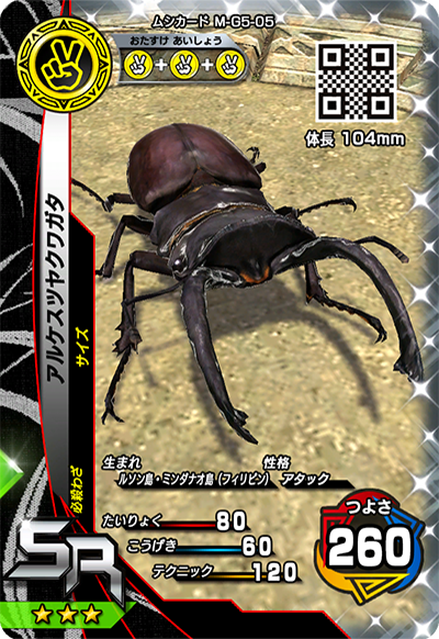 アルケスツヤクワガタ（M-G5-05）［SR］