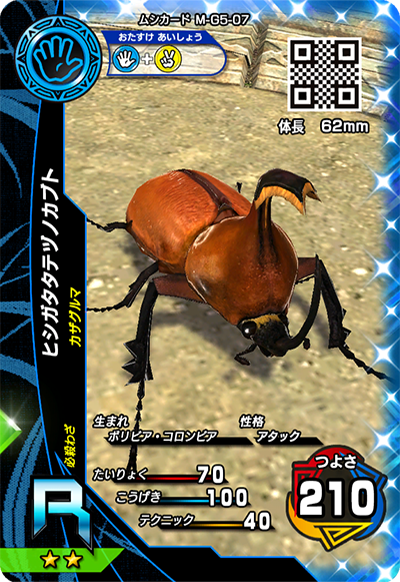 ヒシガタタテヅノカブト（M-G5-07）［R］