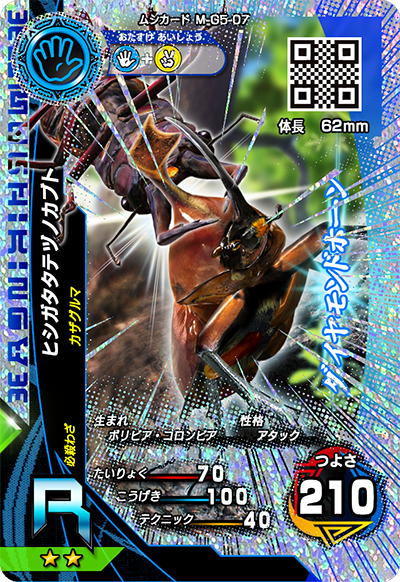 ヒシガタタテヅノカブト（M-G5-07）［R］