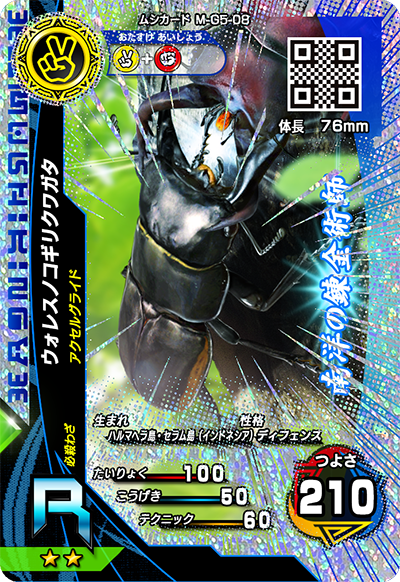 ウォレスノコギリクワガタ（M-G5-08）［R］