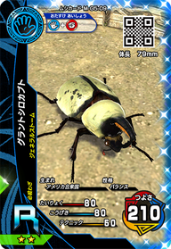 グラントシロカブト（M-G5-09）［R］