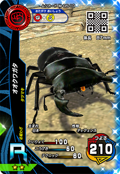 オオクワガタ（M-G5-10）［R］