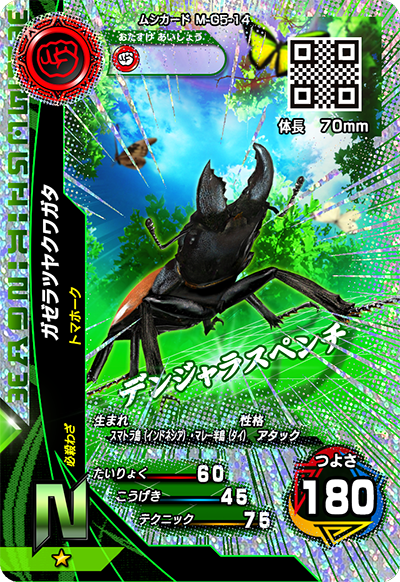 ガゼラツヤクワガタ（M-G5-14）［N］