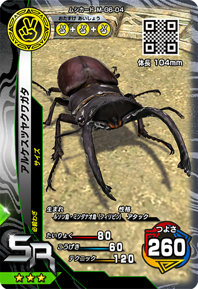 アルケスツヤクワガタ（M-G6-04）［SR］