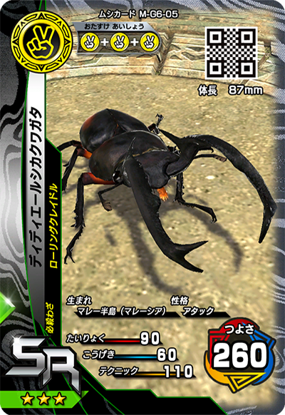 ディディエールシカクワガタ（M-G6-05）［SR］