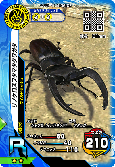 リノケロスフタマタクワガタ（M-G6-07）［R］