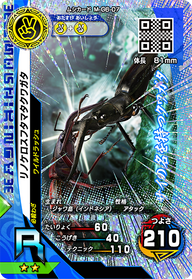 リノケロスフタマタクワガタ（M-G6-07）［R］