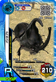 パンカブト（M-G6-08）［R］