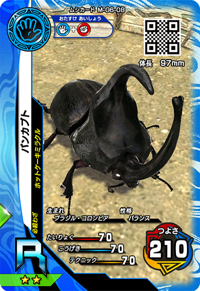パンカブト（M-G6-08）［R］