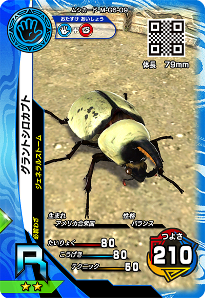 グラントシロカブト（M-G6-09）［R］