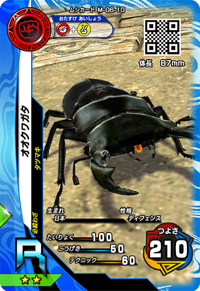 オオクワガタ（M-G6-10）［R］