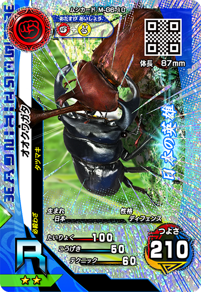 オオクワガタ（M-G6-10）［R］