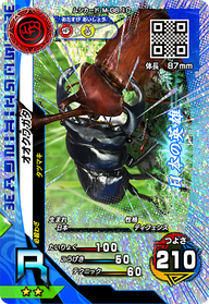 オオクワガタ（M-G6-10）［R］