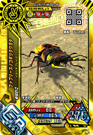 ファブリースノコギリクワガタ（M-S2-06）［GR］