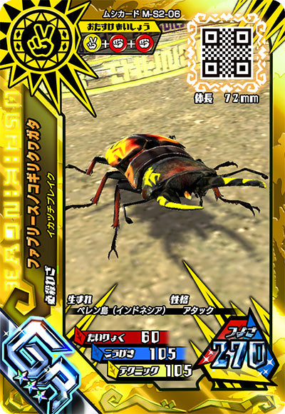 ファブリースノコギリクワガタ（M-S2-06）［GR］