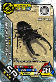 パラワンオオヒラタクワガタ（M-S2-12）［SR］