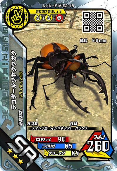ラコダールツヤクワガタ（M-S2-13）［SR］