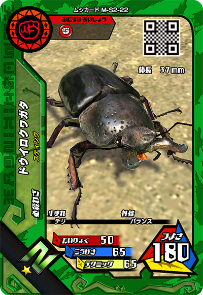ドウイロクワガタ（M-S2-22）［N］
