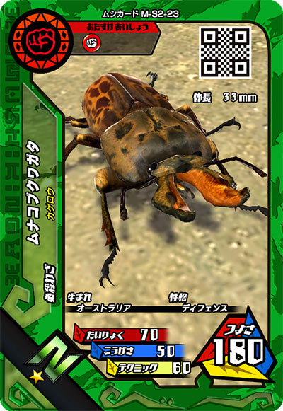 ムナコブクワガタ（M-S2-23）［N］