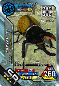 ヘルクレスレイディ（M-S3-08）［SR］
