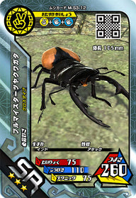 ブルマイスターツヤクワガタ（M-S3-12）［SR］