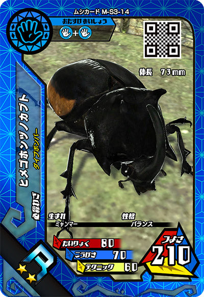ヒメゴホンヅノカブト（M-S3-14）［R］