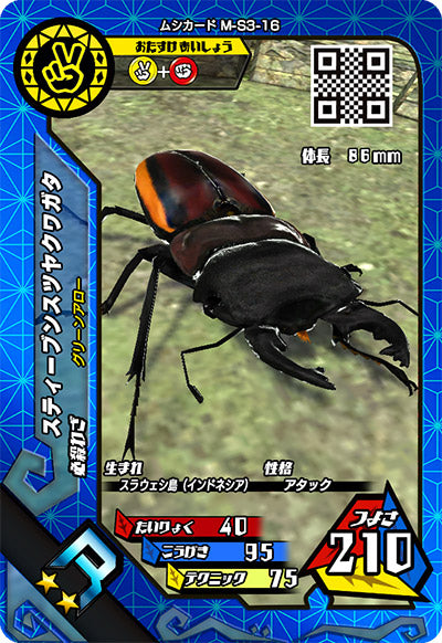 スティーブンスツヤクワガタ（M-S3-16）［R］