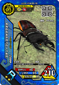 スティーブンスツヤクワガタ（M-S3-16）［R］