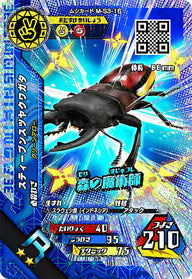 スティーブンスツヤクワガタ（M-S3-16）［R］