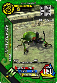パプアキンイロクワガタ（M-S3-20）［N］