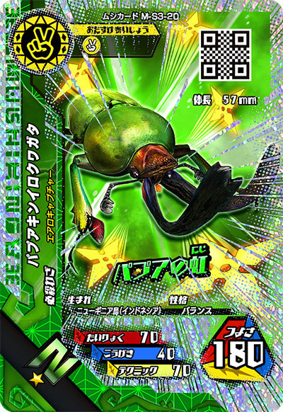 パプアキンイロクワガタ（M-S3-20）［N］
