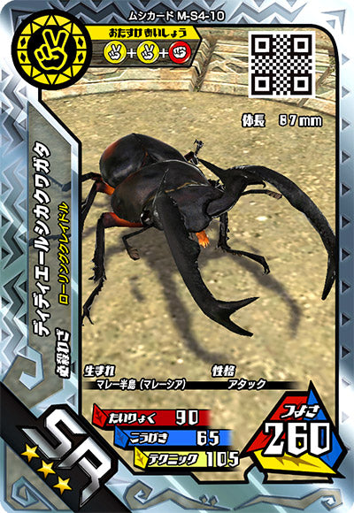 ディディエールシカクワガタ（M-S4-10）［SR］
