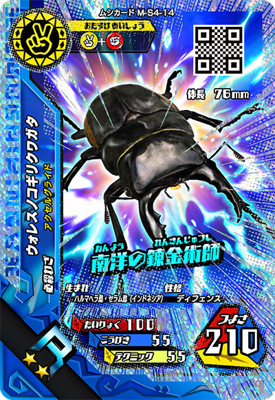 ウォレスノコギリクワガタ（M-S4-14）［R］