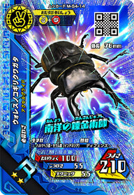 ウォレスノコギリクワガタ（M-S4-14）［R］