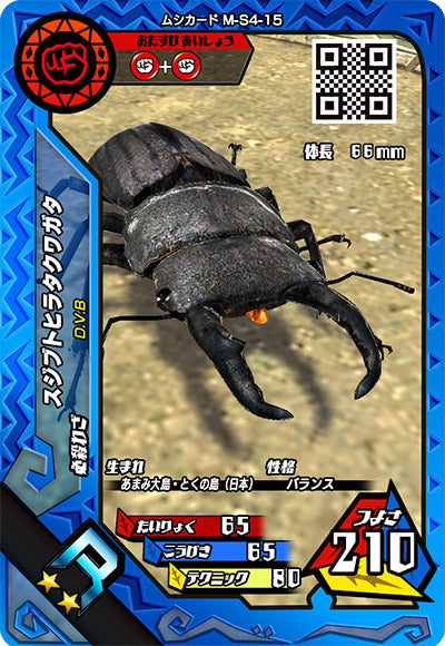 スジブトヒラタクワガタ（M-S4-15）［R］